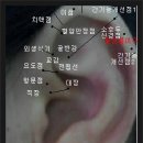 박형미 이미지