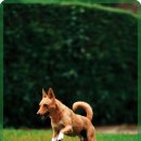 라비동물병원 이미지