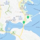 금빛선어 이미지