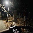 세븐일레븐 신도점 네이버블로그