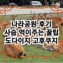 [ 나라 여행 후기 ] 오사카 여행 필수코스 나라공원 도다이지 고후쿠지 나라 당일치기 여행코스