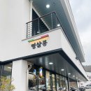 멍살롱 | 파주애견미용 야당동애견미용 포우모우 멍살롱 말티즈 위생미용 대만족 후기