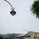 풍산리 마을회관 이미지