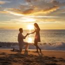 그랜드조선제주 이미지