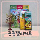 디캐니 곤충젤리키트 곤충캔디 셀프 만들기 7살 후기