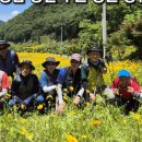 월리사 - 청주시 상당구 | 월리사