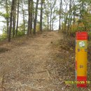 금릉초교 이미지