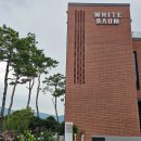화이트바움카페 후기 – 용인 에버랜드 인근 창고형 대형카페, 미술관 같은 공간