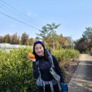 태흥2리체육공원 이미지