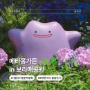 청안공원(미니축구장옆) | 보라매공원 메타몽가든, 메타몽 덕후라면 무조건 가야해! 방문 후기, 굿즈 종류 (사진 많음 주의)