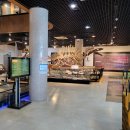 안면도쥬라기박물관 이미지