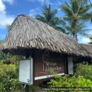 [Bora Bora 본섬] 호텔 로얄 보라보라 숙박 후기 + 근처 가볼만한 곳 6곳 추천