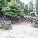 표선면 동산식당 이미지