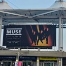 과일여왕&장봐주는 언니 화정점 | 뮤즈 콘서트 다녀오고 추석도 보내고