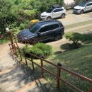 벳소캠프 이미지