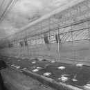 프롭테라피교실 이미지