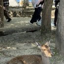 롯데리아 대산점 | 2025.10