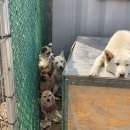 역구내주유소 이미지