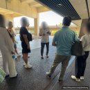 (주)홀로섬닷컴 | 🇺🇸나홀로 하와이 3일차 - &#34;빅아일랜드 당일치기 투어&#34; 후기