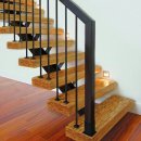 패러그린 이미지