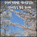 염리초교 이미지