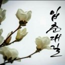 더봄날에 이미지