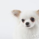 호텔 투데이 이미지
