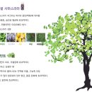 테라피피부관리실 이미지