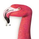 시그니아 보청기 서대문센타 이미지