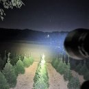 전조등 2가지 15000광등 엄청밝아 (택비무) 이미지