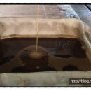 토토카센타 이미지