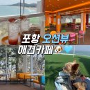 댕댕애견 | 포항 애견카페 러블랑 댕댕파크 자세한 후기