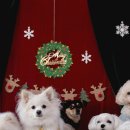 우다다 유치원 이미지