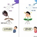 시선 이미지