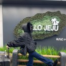 연예인김밥 이미지