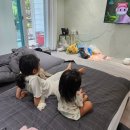 히든포레 이미지