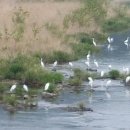 강림중학교 이미지