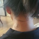 성삼연합의원 이미지