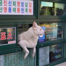 매표소 티스토리