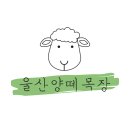 우리 아이가 좋아하는 양떼목장