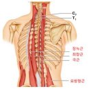 응암하이퍼