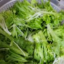 늘푸른농장 1 이미지