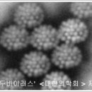 호시탐탐