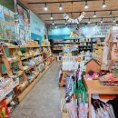 산림조합 1층 | 썸제주 산림조합 1층 저렴한 로컬 기념품 내돈내산