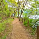 근린공원 6호 풋살장 | 운길산역에서 다산 생태공원까지 걸어봐요