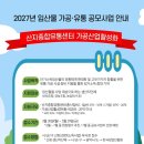 안내유통