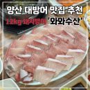 와와 | 양산 대방어 맛집추천 12kg 돼지방어 먹은 솔직후기 와와수산