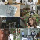 포레스트 이미지