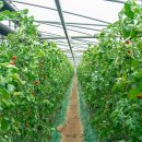 광산-평동-광산-35 이미지