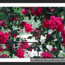 태호네농장 이미지